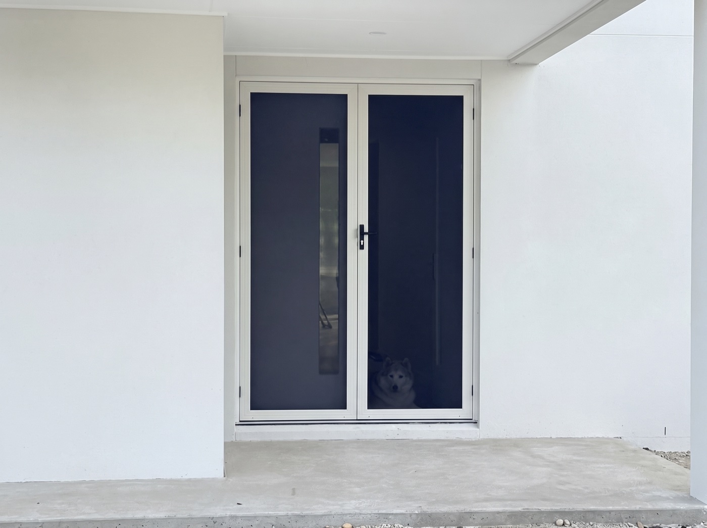 White French-style double security doors with black mesh on a modern Melbourne home